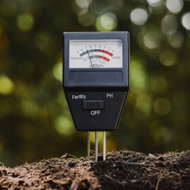 Geobiology Energy Sensing